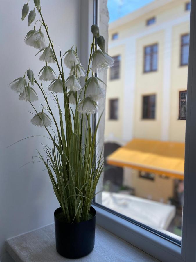 Homelike Apartment リヴィウ エクステリア 写真